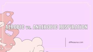 Read more about the article What is the Difference Between Aerobic and Anaerobic Respiration?
