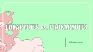 Read more about the article Eukaryotes vs. Prokaryotes: All Differences Explained
