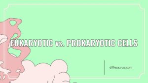 Read more about the article Difference Between Eukaryotic and Prokaryotic Cells?