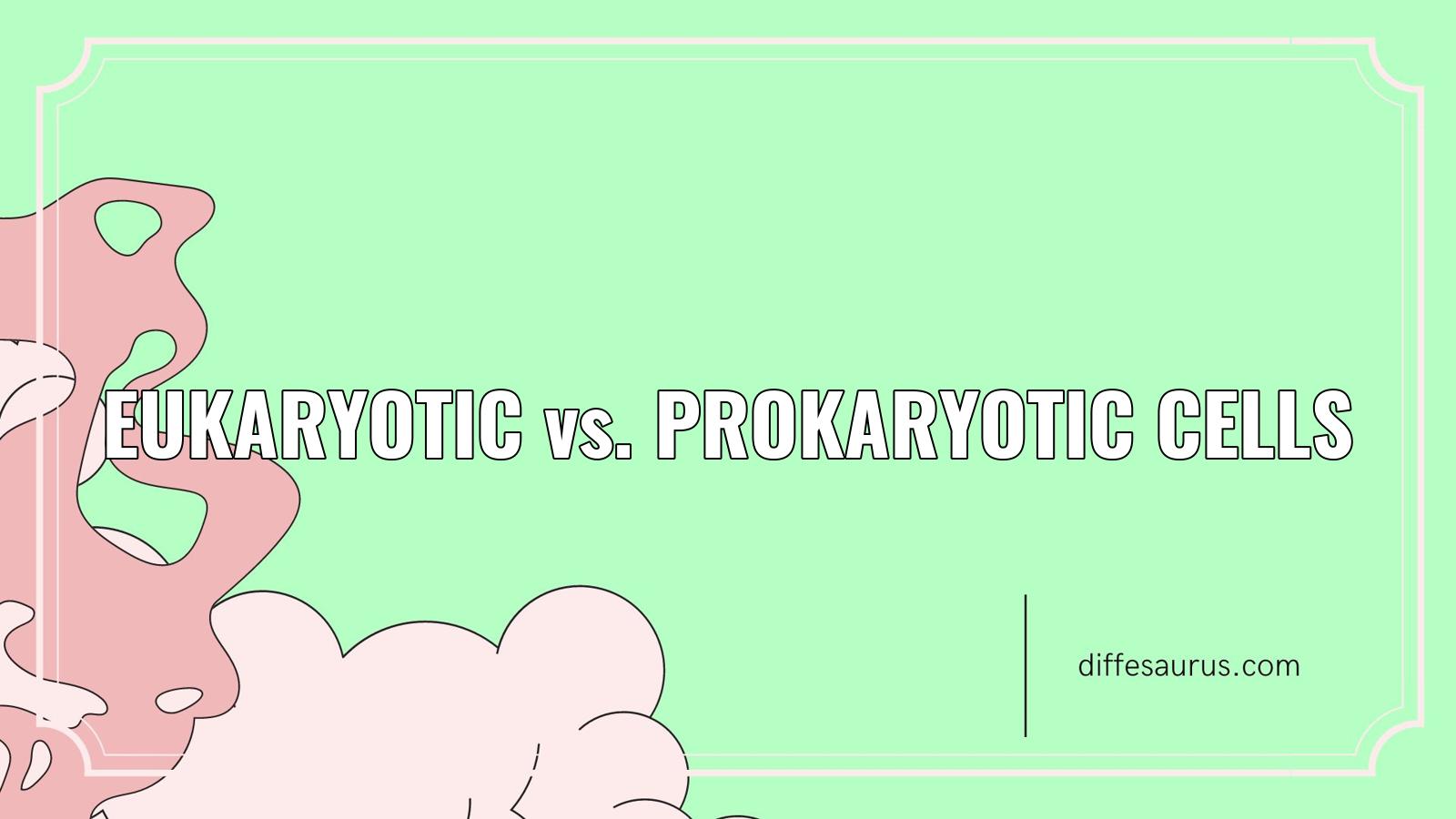 You are currently viewing Difference Between Eukaryotic and Prokaryotic Cells?