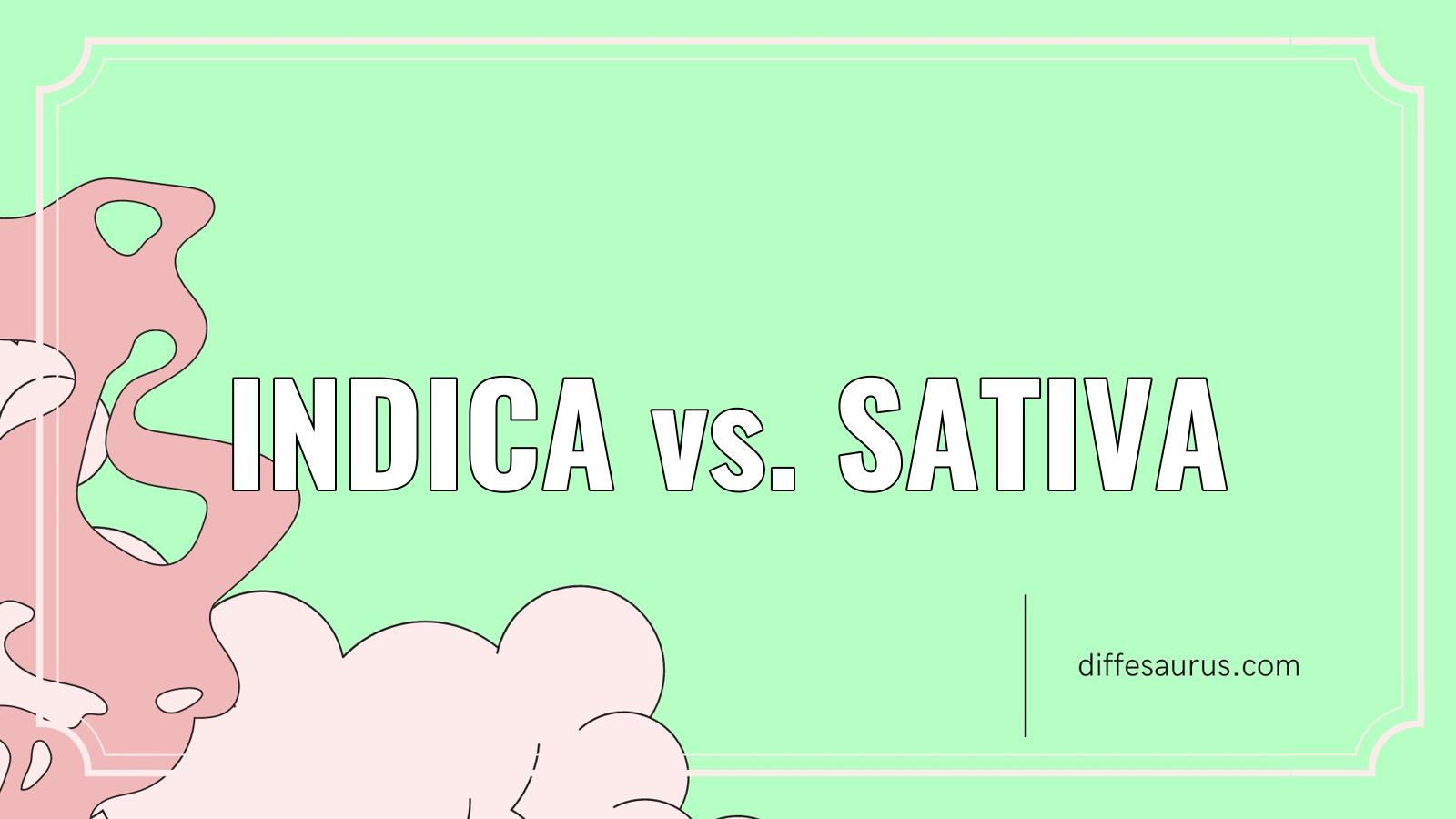 You are currently viewing Indica vs. Sativa: Simple Breakdown of the Differences