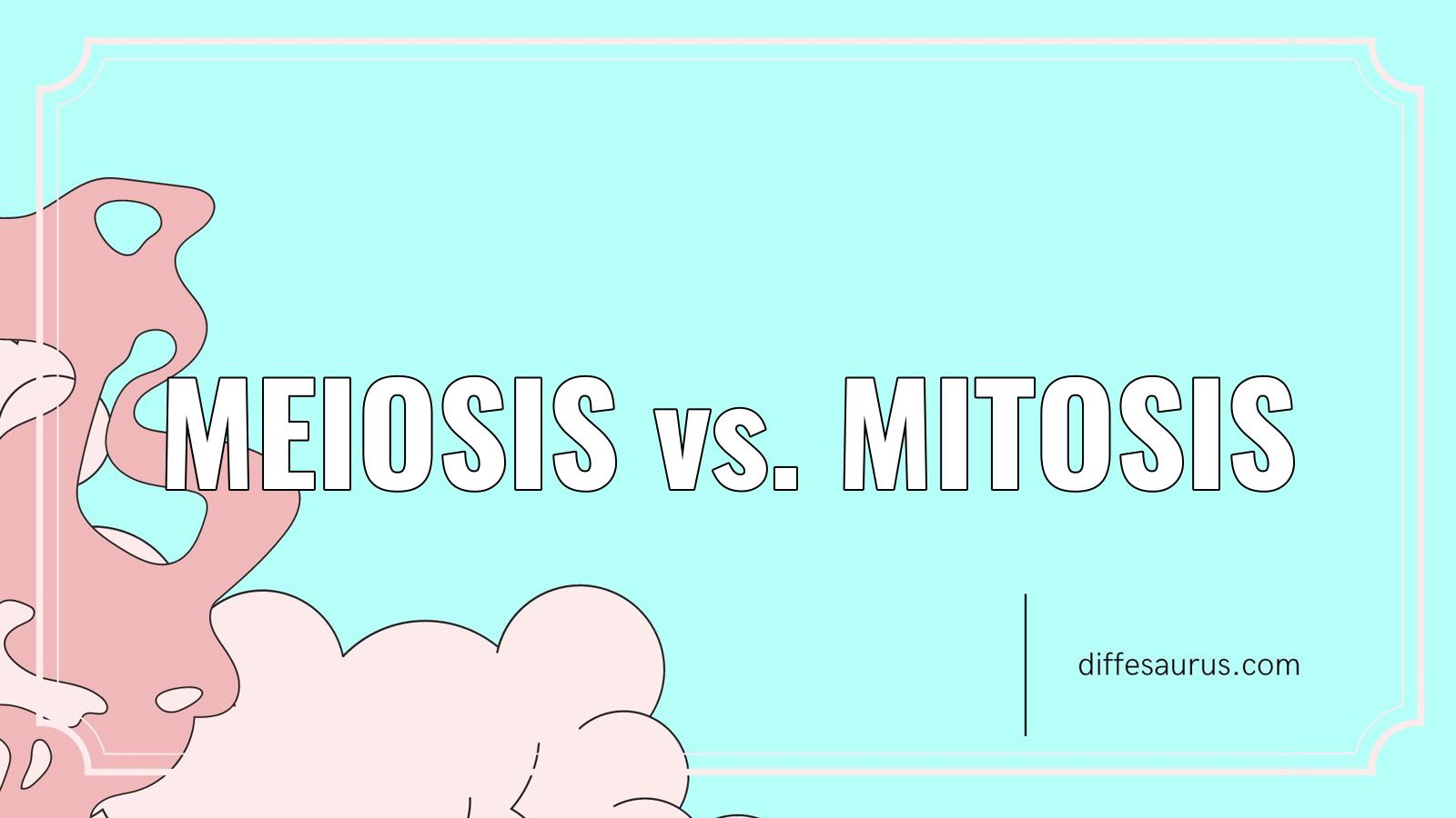 You are currently viewing Meiosis vs. Mitosis: Key Differences