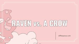 Read more about the article Raven vs. A Crow: What Are the Differences?