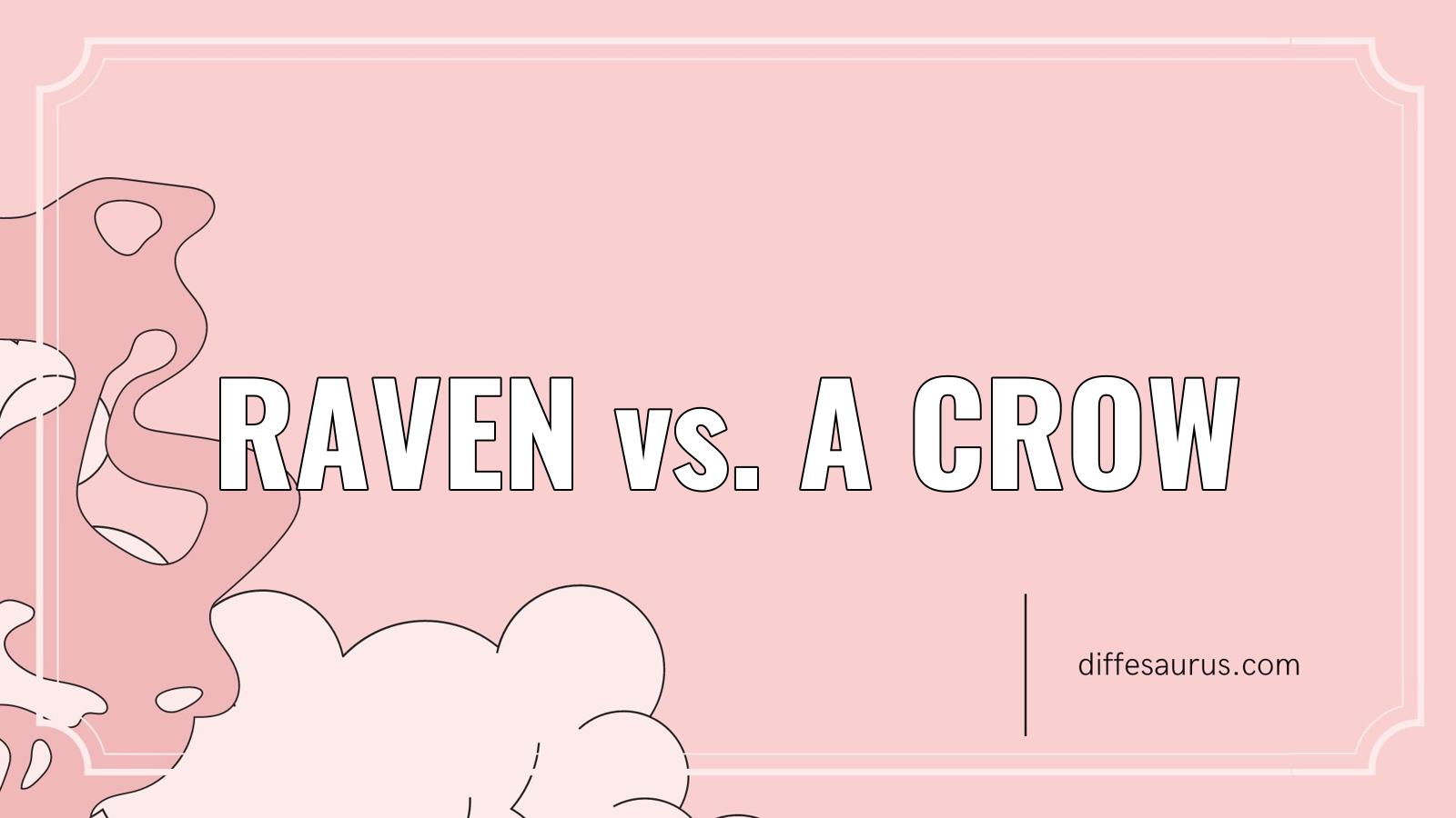 You are currently viewing Raven vs. A Crow: What Are the Differences?