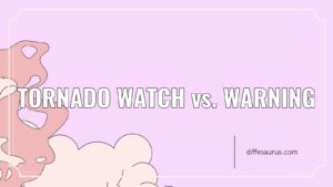 Read more about the article What is the Difference Between Tornado Watch and Warning?