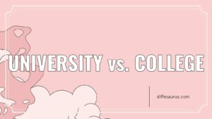 Read more about the article University vs. College: All Differences Explained