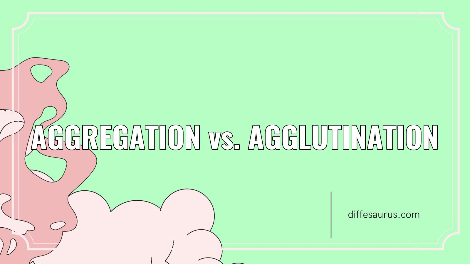 You are currently viewing Aggregation vs. Agglutination: The Key Differences to Know