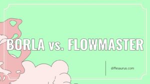 Read more about the article Difference Between Borla and Flowmaster Explained
