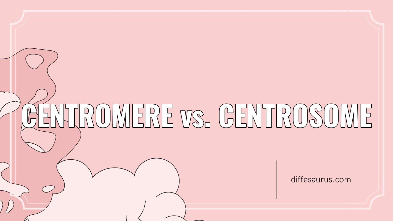 You are currently viewing How are Centromere and Centrosome Different?
