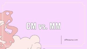 Read more about the article What is the Difference Between Cm and Mm?