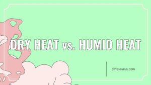 Read more about the article How are Dry Heat and Humid Heat Different?