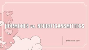 Read more about the article Difference Between Hormones and Neurotransmitters Explained