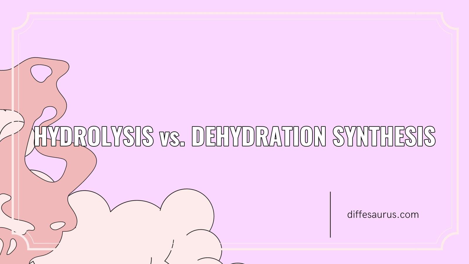 Read more about the article Hydrolysis vs. Dehydration Synthesis: All Differences Explained