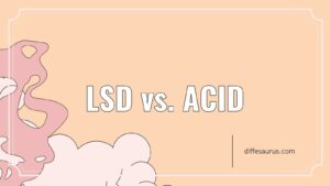 Read more about the article Main Difference Between Lsd and Acid