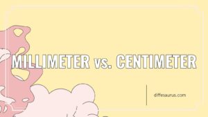 Read more about the article Millimeter vs. Centimeter: What’s the Difference?