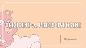 Read more about the article Oncogene vs. Proto Oncogene: Differences Explained