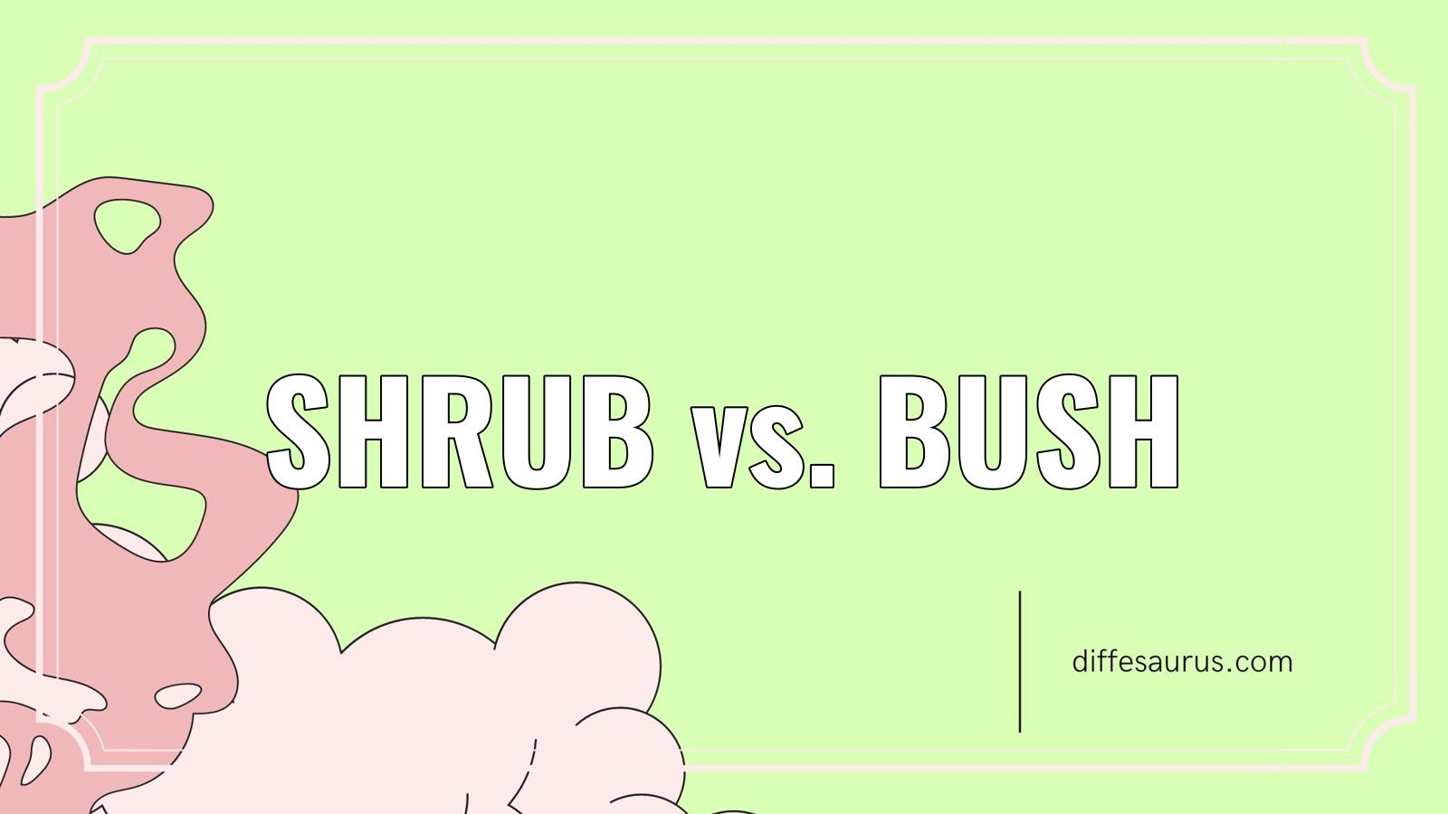 You are currently viewing What is the Difference Between Shrub and Bush?