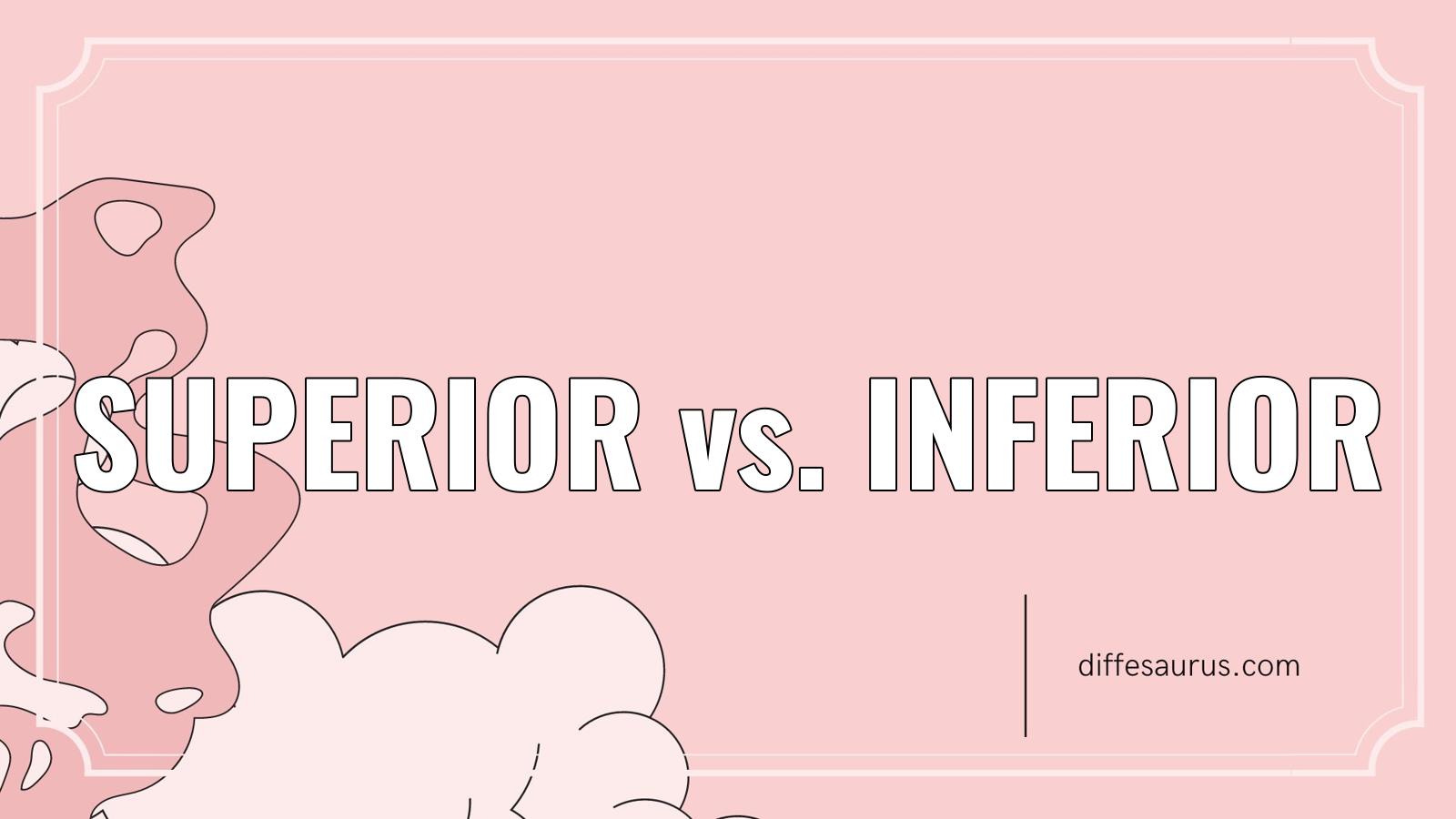You are currently viewing Superior vs. Inferior: Simple Breakdown of the Differences