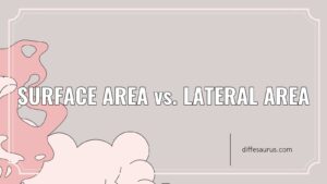 Read more about the article Main Difference Between Surface Area and Lateral Area