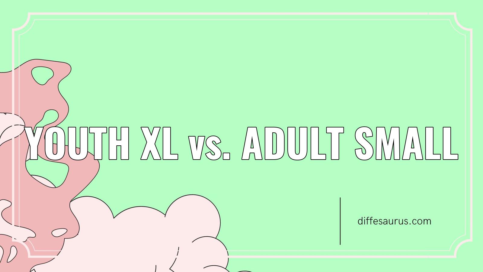 How Are Youth Xl And Adult Small Different Diffesaurus